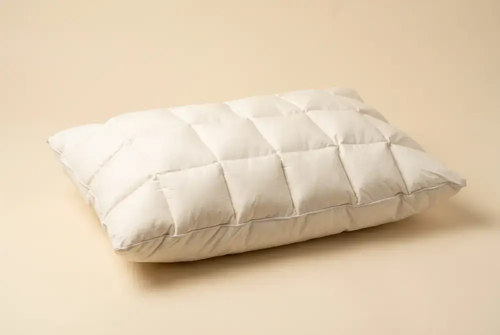 Midnight Plush Pillow