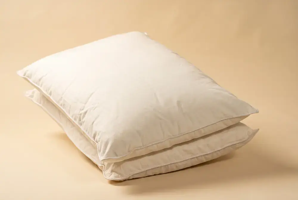 Midnight Feather Pillow
